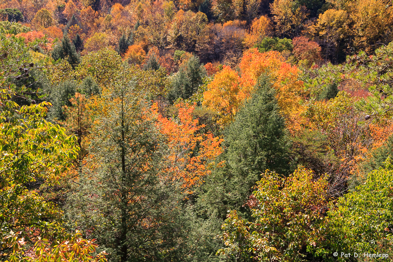 Fall, Hocking Hills, 2007