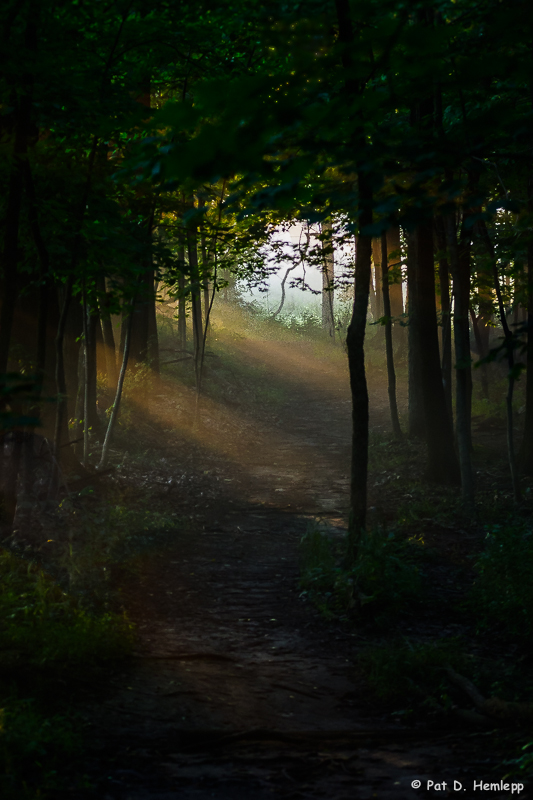 Light on the trail