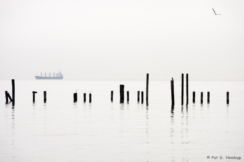 Pilings and horizon