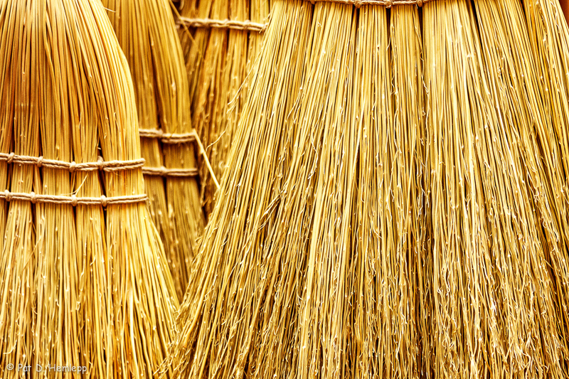 Broom bristles