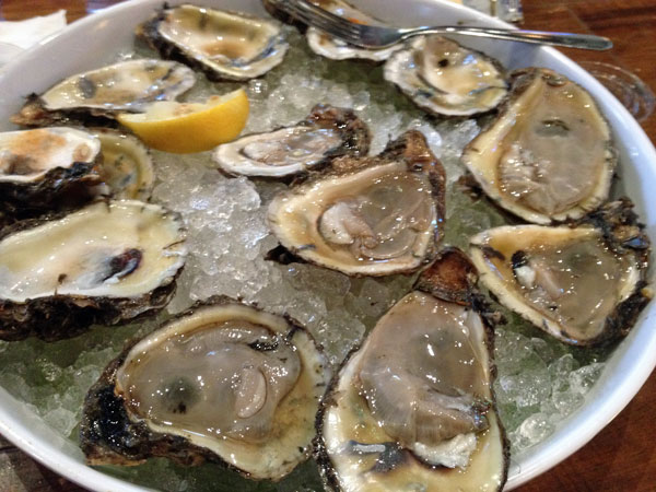 31 Oysters in low light 158