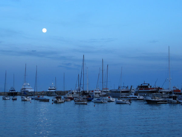 Santa Margherita harbor 1031