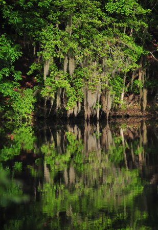 06 Dargan's Pond 5348