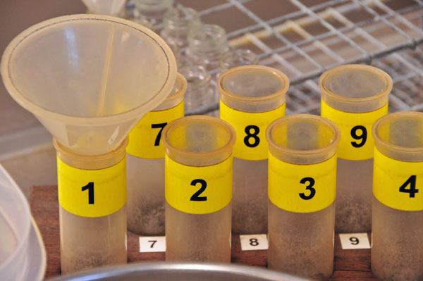 07 Processing field samples 5739