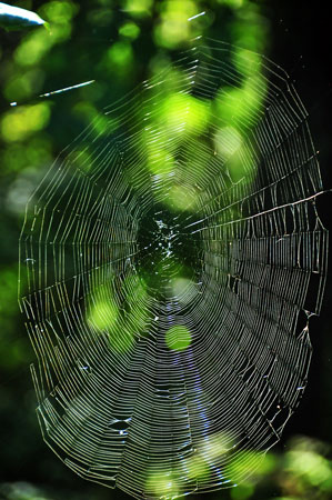 13 End of Summer Web 0198