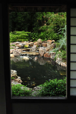 Japanese garden 5758