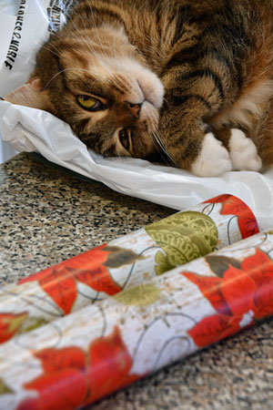 23 Just the thought of wrapping presents wears me out. 1131