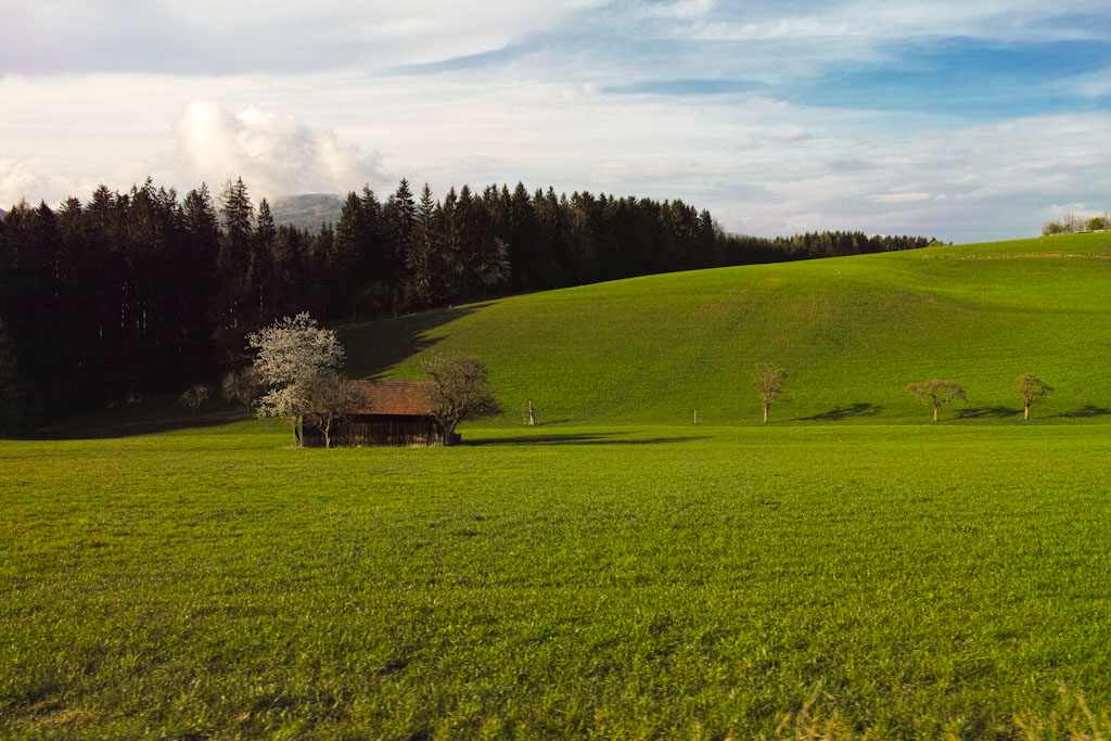 Steiermark