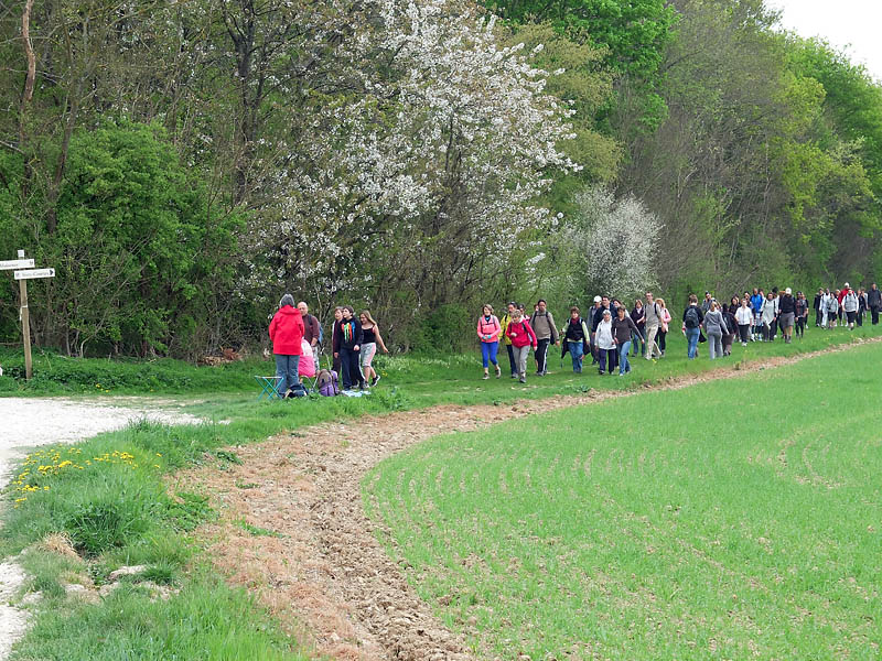 Par moment grande affluence_0789r.jpg