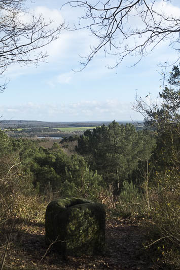 Vue vers les tangs de Sorques-3586l.jpg