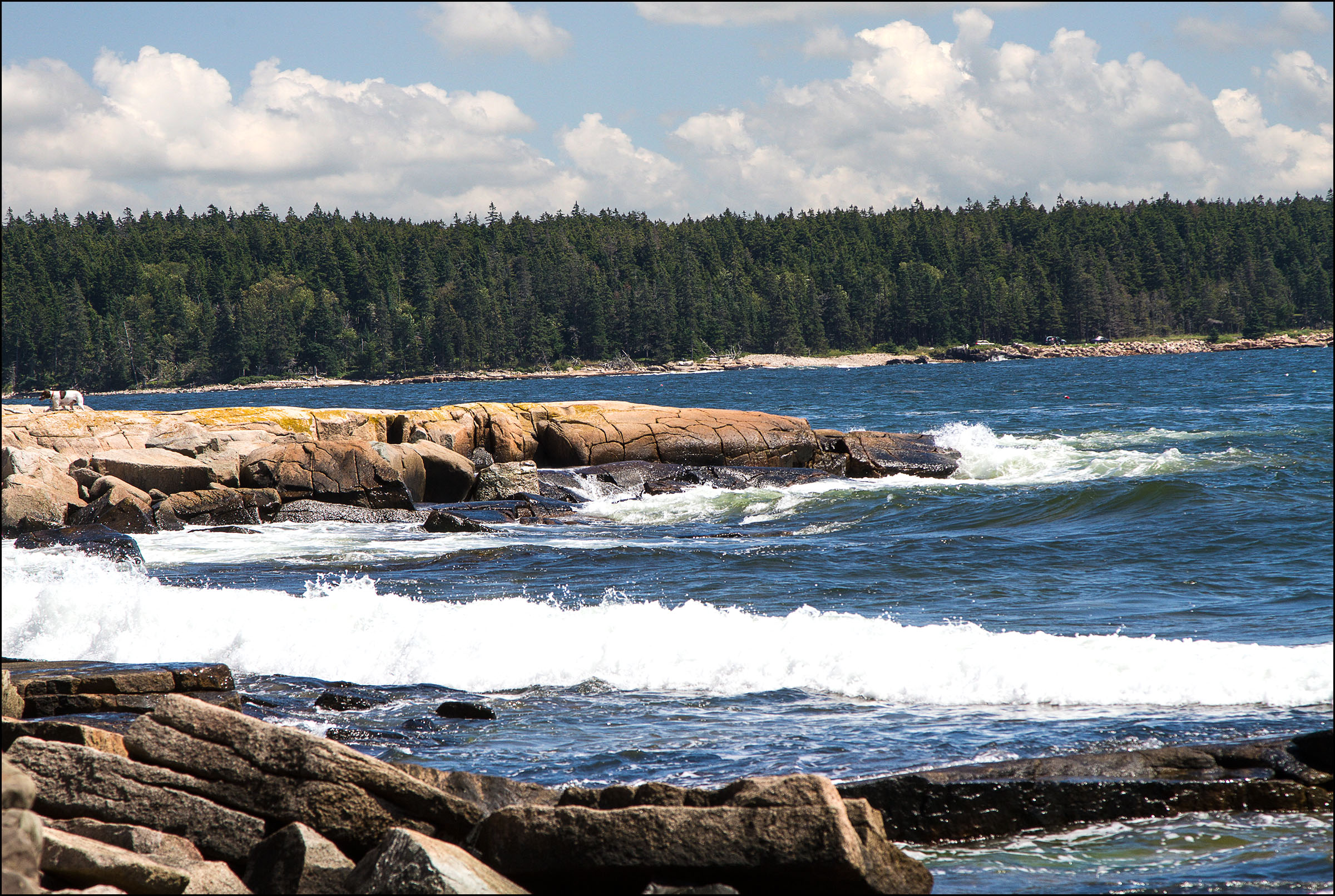 Grindstone Point Schoodic Peninsula, Maine