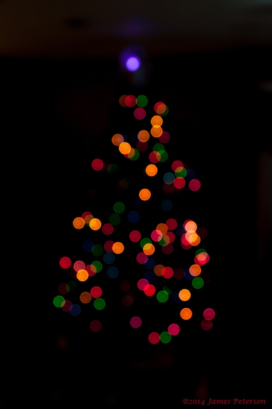 Christmas Tree (39993)