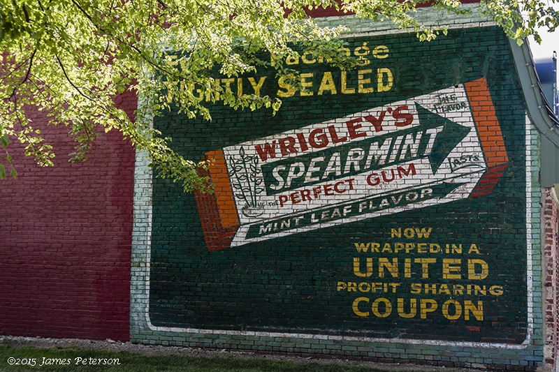 Wrigley's Spearmint Gum (42067)