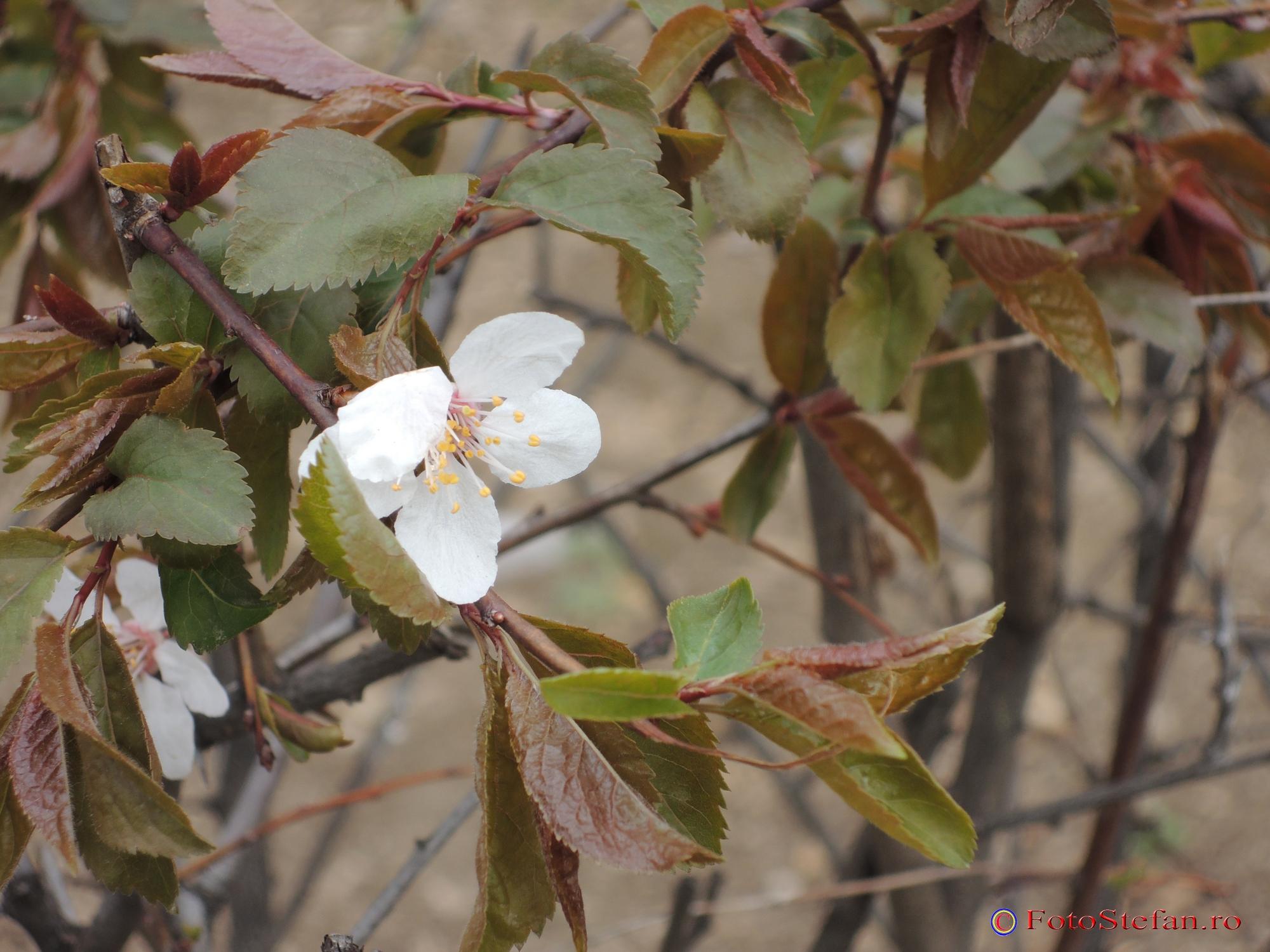 coolpixp310_21.JPG