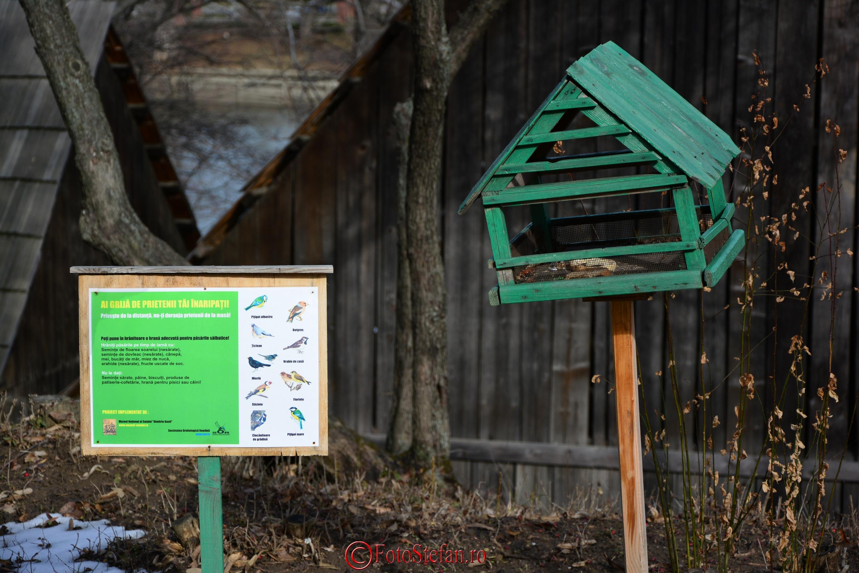 NikonD5200_vivid.JPG