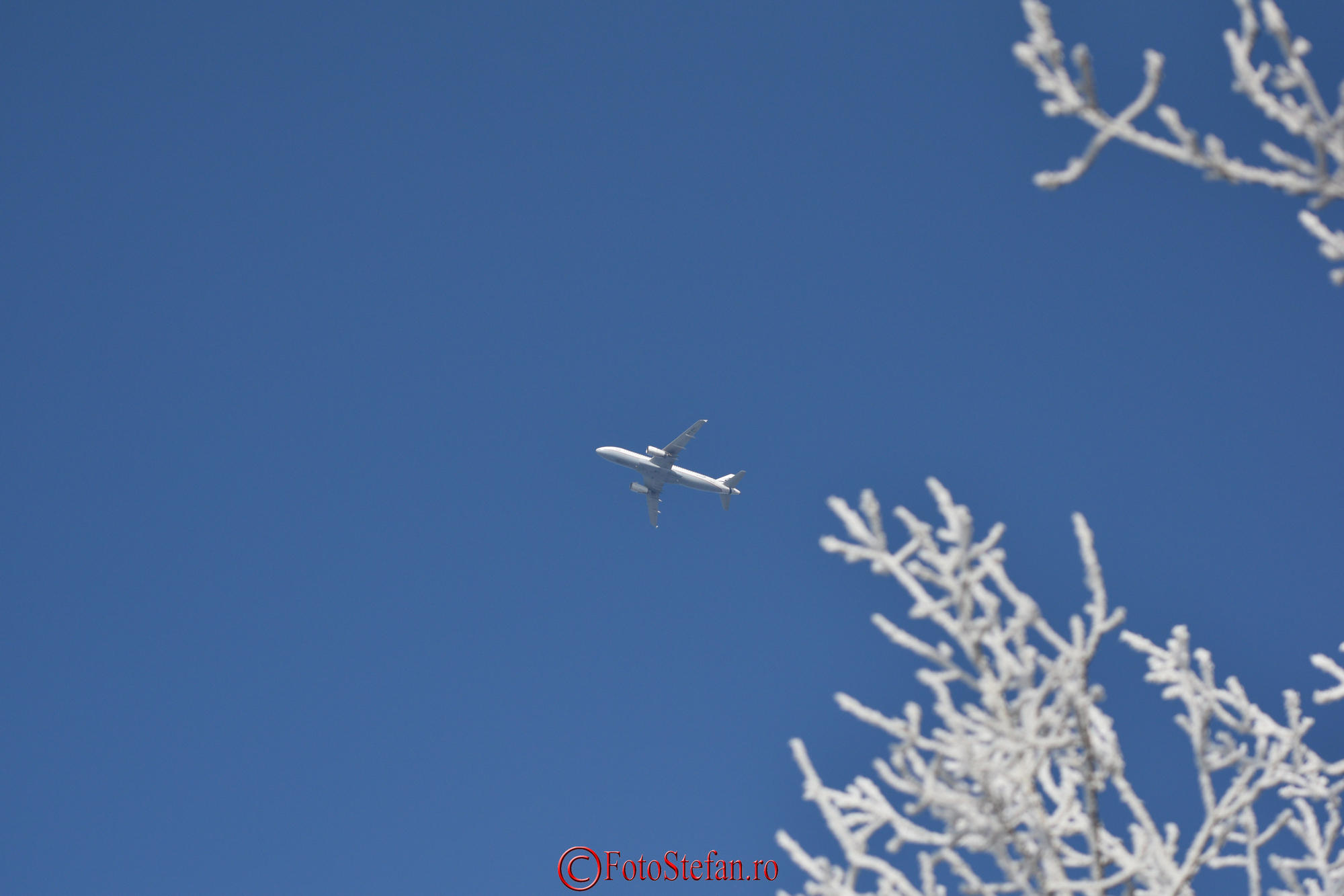 gradina-zoologica-baneasa-avion-41.JPG