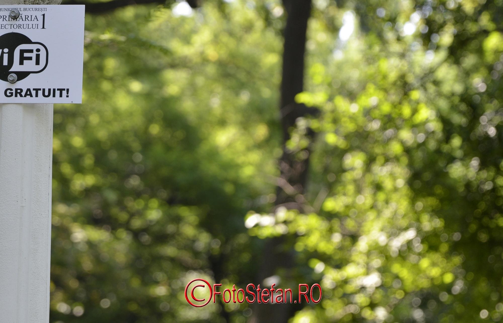 sigma-17-70-Contemporary-bokeh-f4-crop.jpg