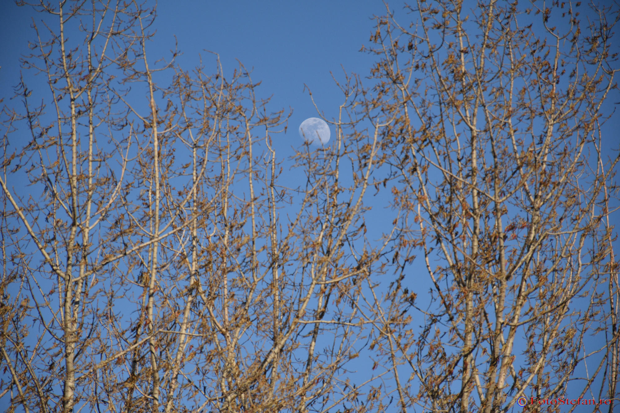 nikon-d5500-81.JPG