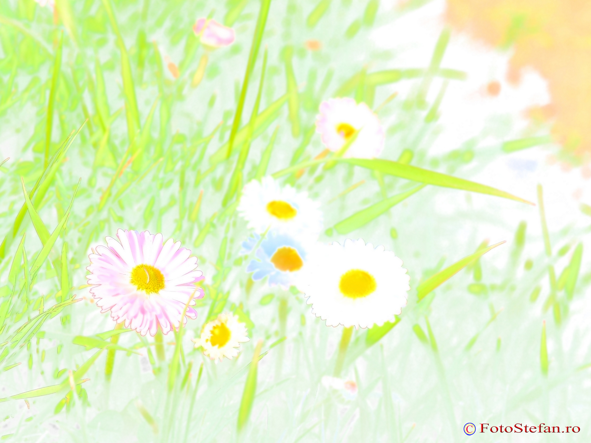 Olympus-E-M5-MarkII-watercolor.JPG