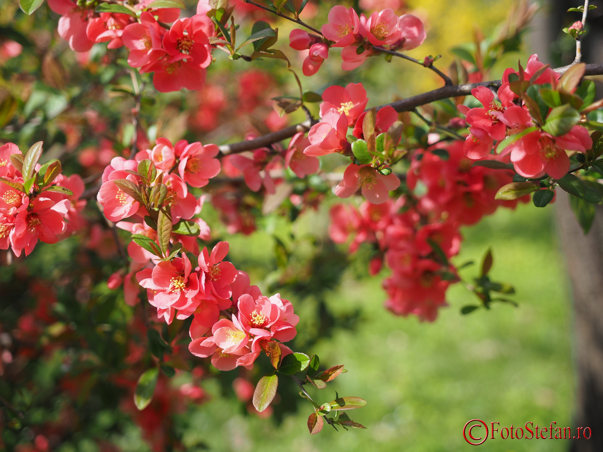 Olympus-OM-D-E-M5-Mark-II-122.JPG