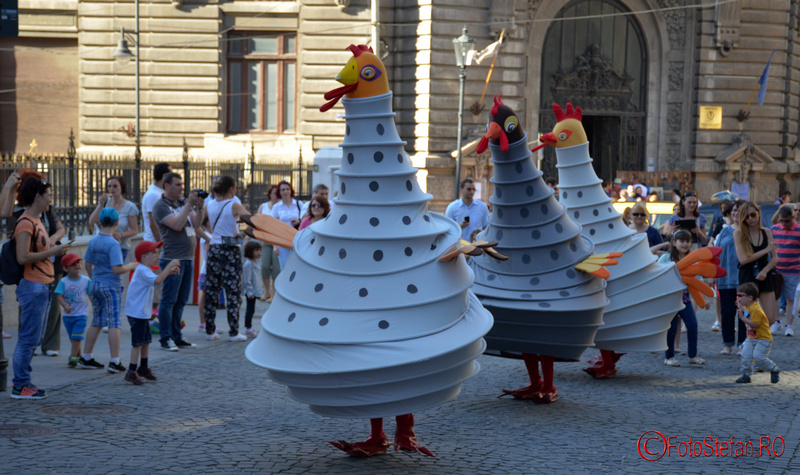 b-fit-poules-1.JPG