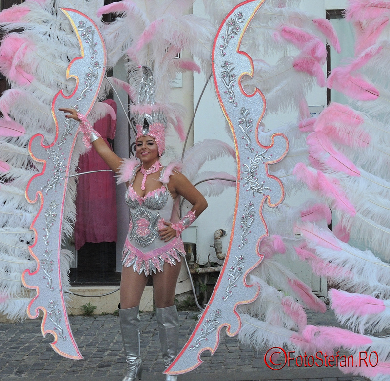 b-fit-santa-cruz-carnival-group-32.JPG