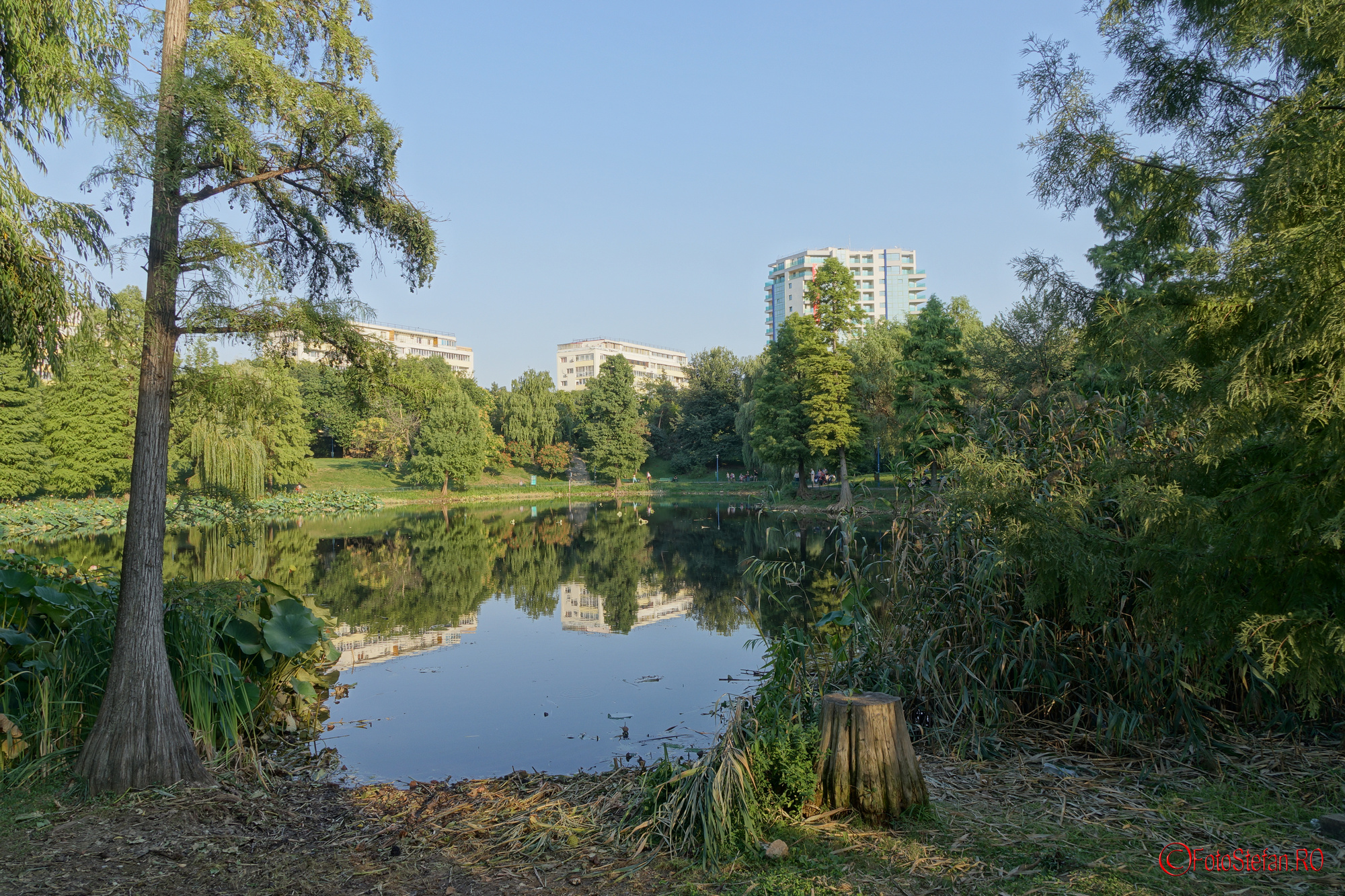 sony-rx10-ii-hdr-6.JPG