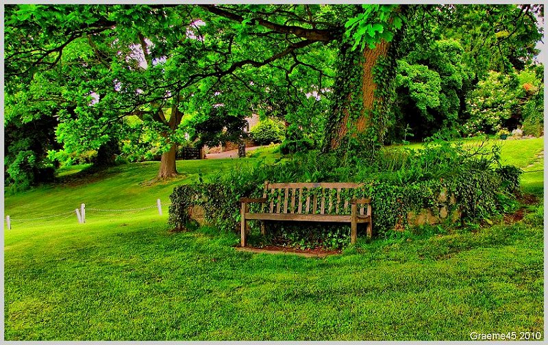 Tree Seat