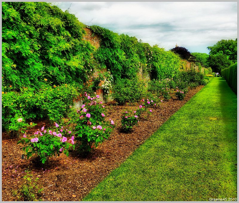 Rose Garden