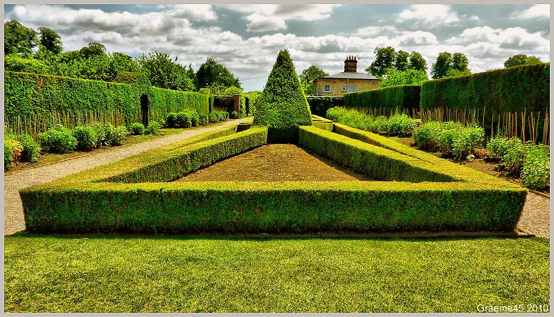 Pyramid Topiary