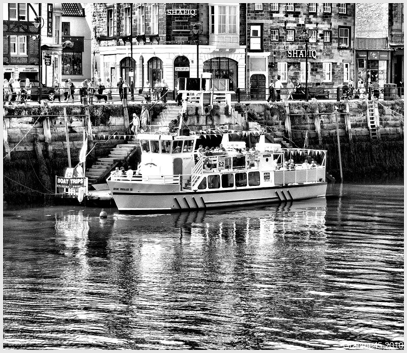 boat trips
