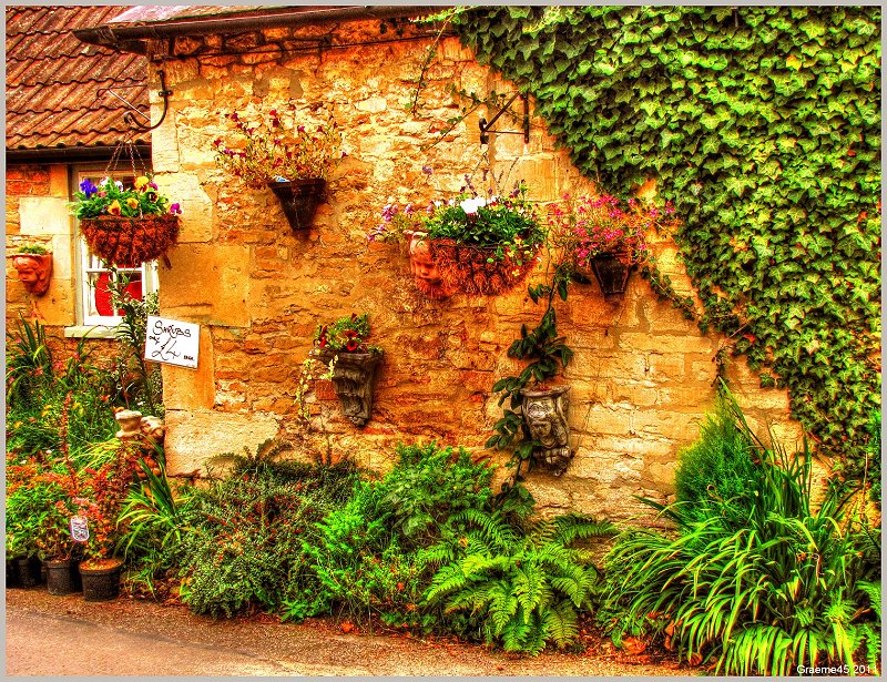 Wall Flowers