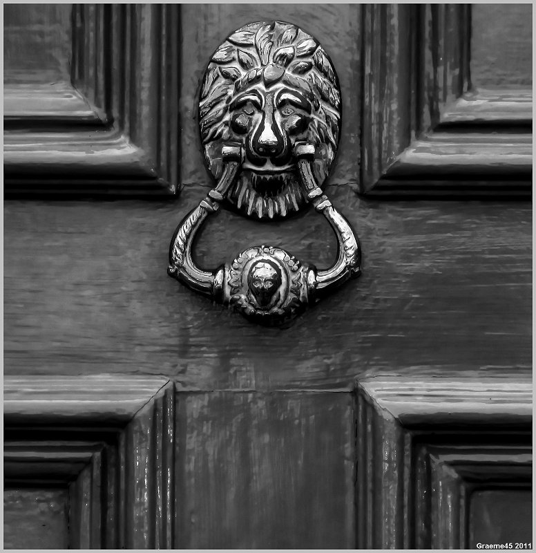 Door Knocker