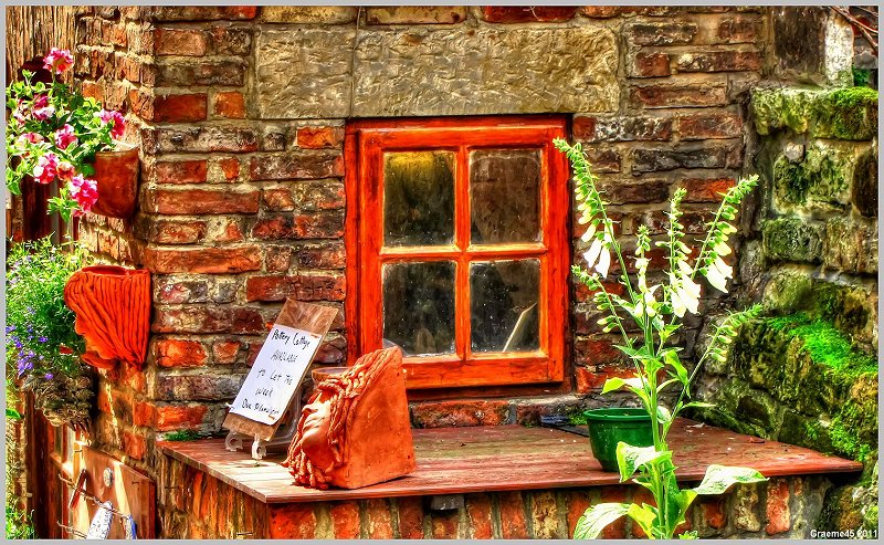 Window