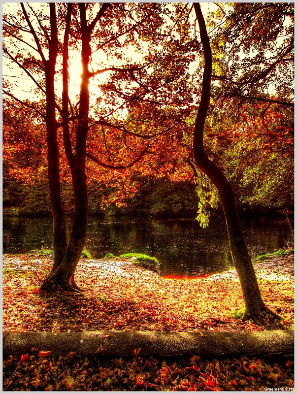 o9/31/938931/1/139210301.Ft5HDC6y.1IMG_0204And2more_tonemapped.jpg