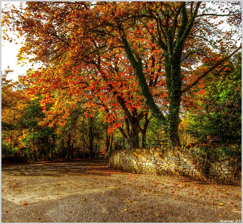 o9/31/938931/1/139237195.cjiJG5AZ.139237195_JarNpj57_1IMG_0178And2more_tonemapped.jpg