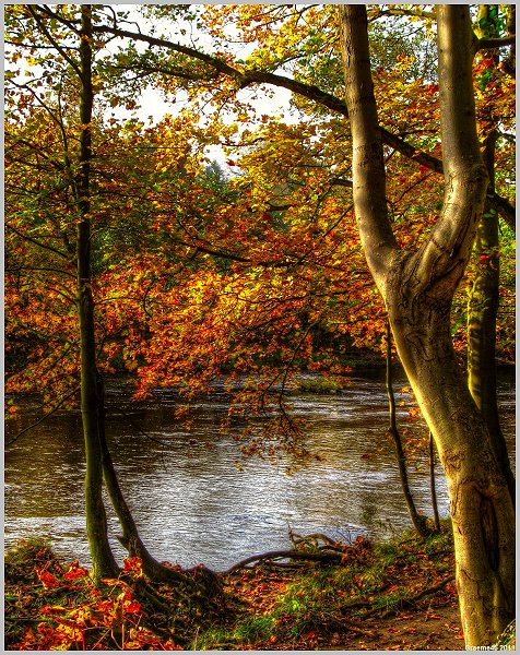o9/31/938931/1/139293917.LDHE3kQM.1IMG_0215And2more_tonemapped.jpg