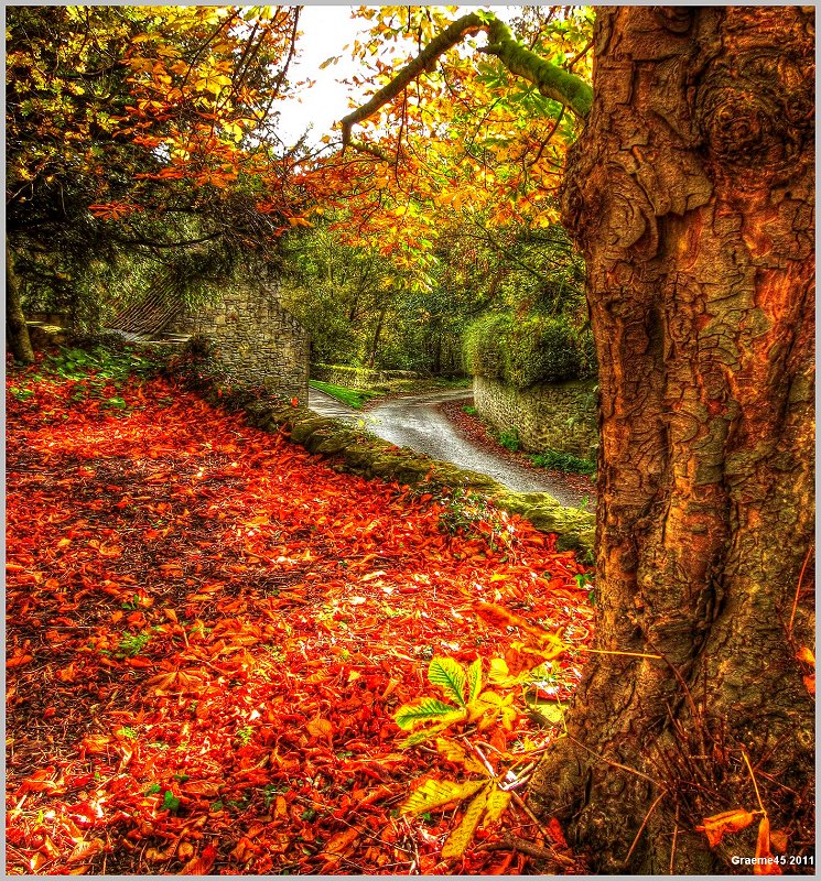 o9/31/938931/1/139494003.hEhvGYmp.1IMG_0750And2more_tonemapped.jpg