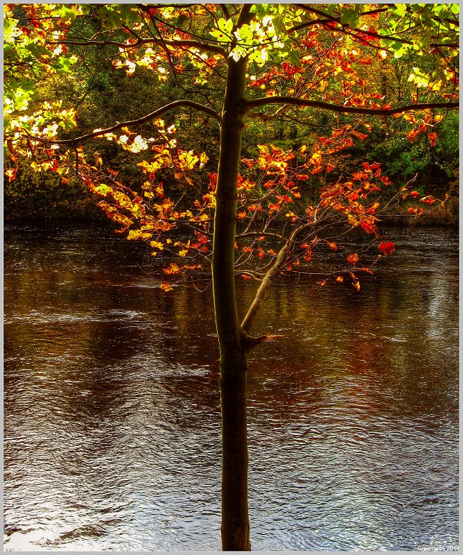o9/31/938931/1/139689917.zvbnfKUm.1IMG_0233And2more_tonemapped.jpg