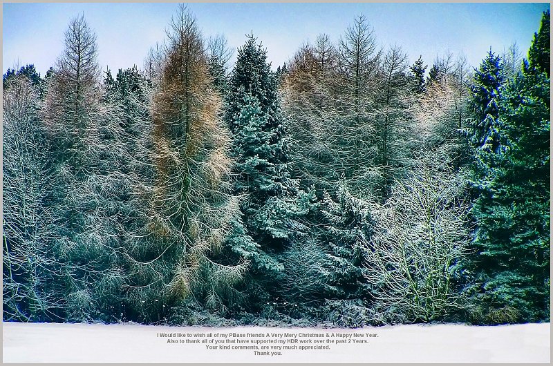 'Seasonal Greetings To You All'