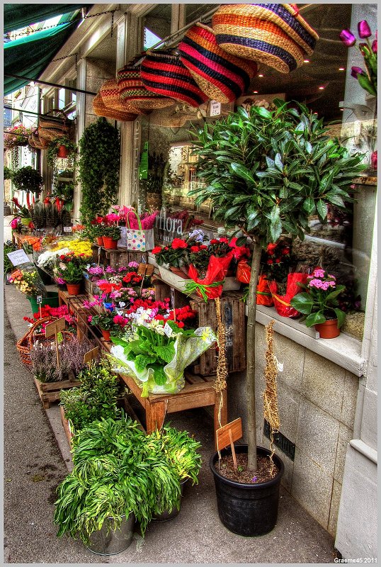 Potted Plants & Baskets