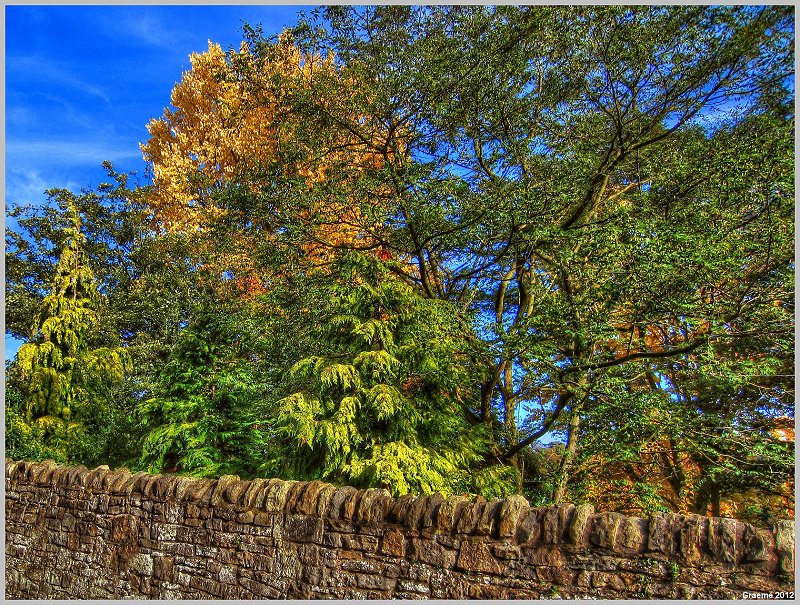 o9/31/938931/1/146635410.PVfdzYKe.1IMG_0187And2more_tonemapped.jpg