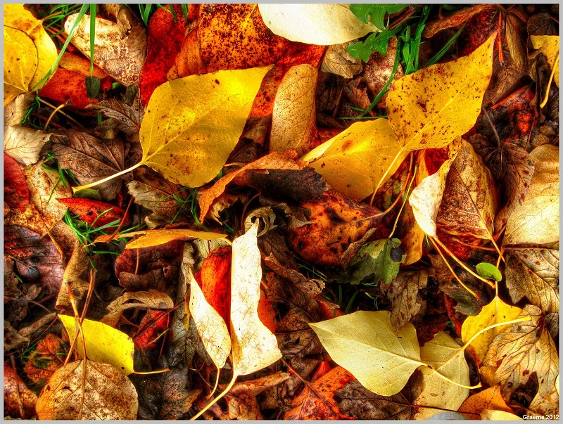 o9/31/938931/1/146860513.YPbzgI0o.1IMG_0383And2more_tonemapped.jpg