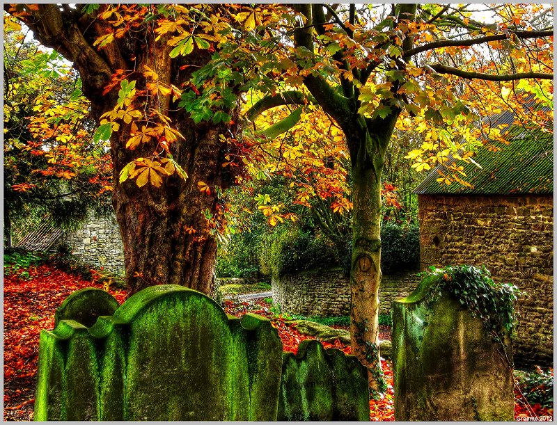 o9/31/938931/1/146964962.7spUlXmI.146964962_qbX0HSG8_1Img_0741And2more_tonemapped.jpg