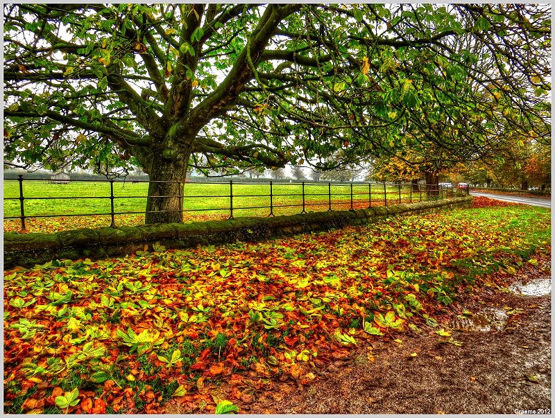 o9/31/938931/1/147168347.mvPZYbdx.1IMG_3783And2more_tonemapped.jpg