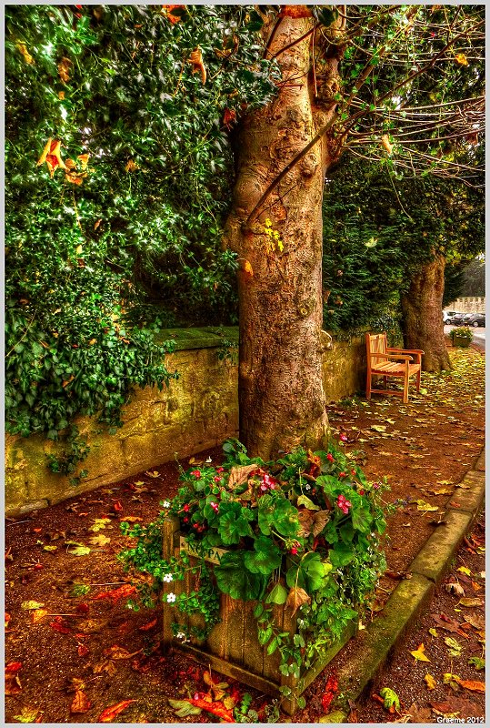 o9/31/938931/1/147208420.j2SMiAZS.1IMG_3951And2more_tonemapped.jpg