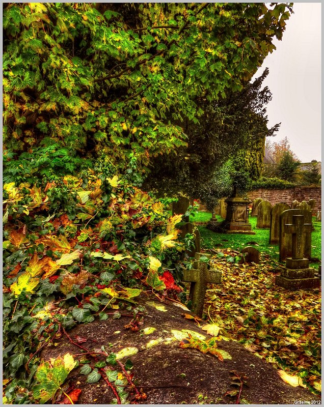o9/31/938931/1/147433279.Q5Zi81UY.147433279_99AKmEMd_1IMG_3965And2more_tonemapped.jpg