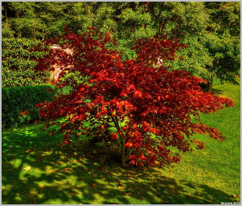 o9/31/938931/1/152801185.e4sn16lr.152801185.5ayzoabD.1IMG_0679And2more_tonemapped.jpg