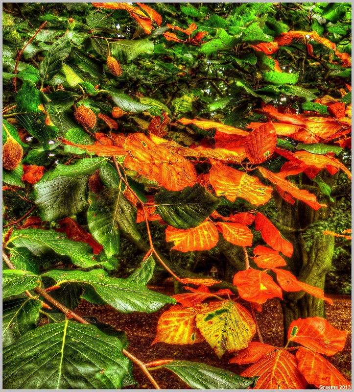 o9/31/938931/1/152928721.4riSKmJW.152928721.iQ1kHbZ1.1IMG_0042And2more_tonemapped.jpg