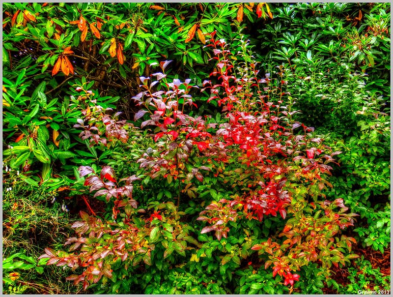 o9/31/938931/1/153046184.V3P7q8lM.153046184.fsBF6p1P.1IMG_9583And2more_tonemapped.jpg